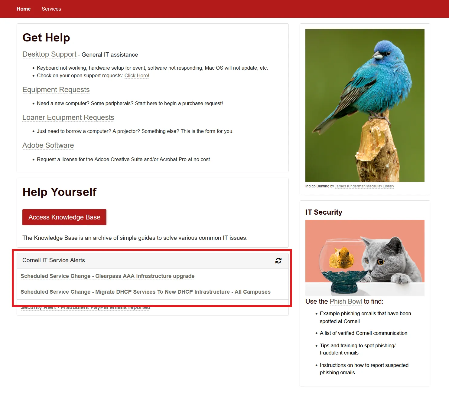 Lab of Ornithology service alerts